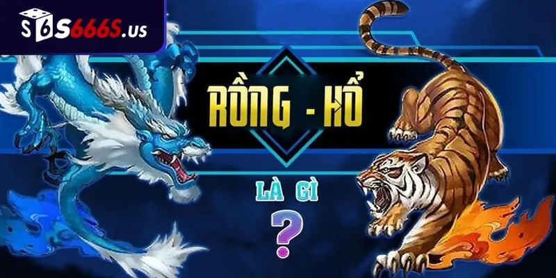 Kinh Nghiệm Chơi Rồng Hổ Từ Các Cao Thủ Của S666
