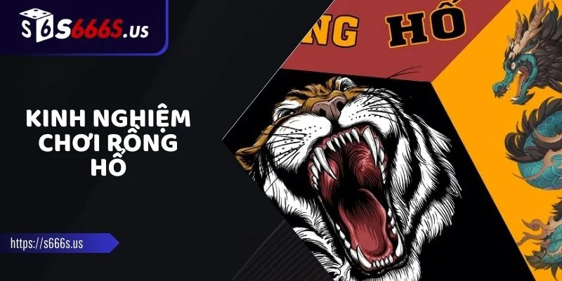 Luật Chơi Rồng Hổ
